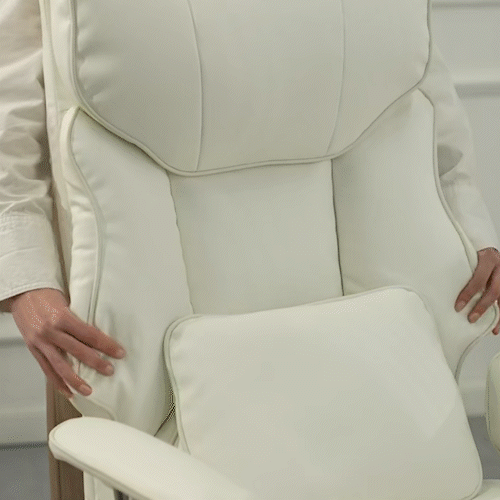 Ergonomic 05 - Chaise de bureau Ergonomique ultra confortable