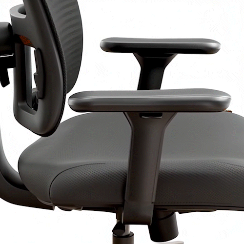 Ergonomic 02 - Chaise de bureau Ergonomique avec Soutien Lombaire Réglable
