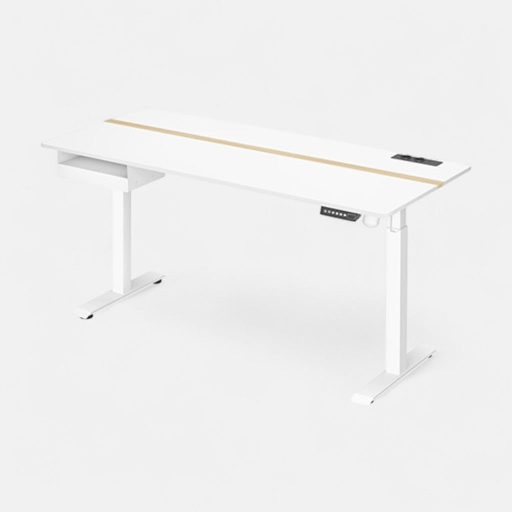 Desk 01 - Bureau Ergonomique Assis/Debout électrique 120x60cm