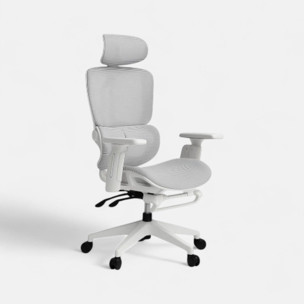 Ergonomic 01 - Chaise de Bureau Ergonomique avec Soutien Postural et Inclinaison