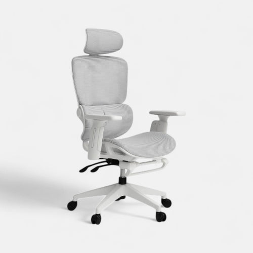 Ergonomic 01 - Chaise de Bureau Ergonomique avec Soutien Postural et Inclinaison