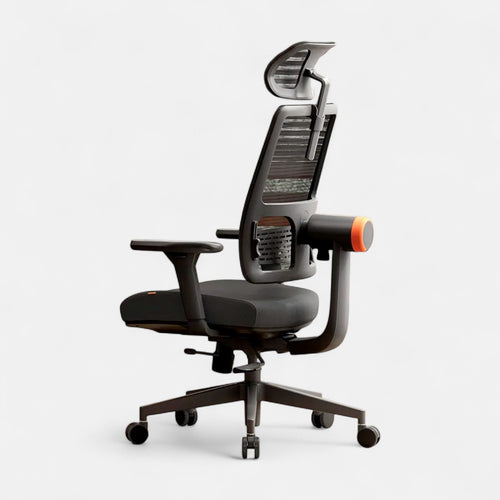 Ergonomic 02 - Chaise de bureau Ergonomique avec Soutien Lombaire Réglable