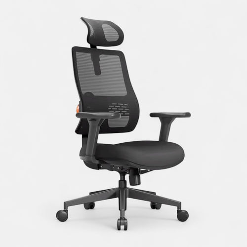 Ergonomic 02 - Chaise de bureau Ergonomique avec Soutien Lombaire Réglable